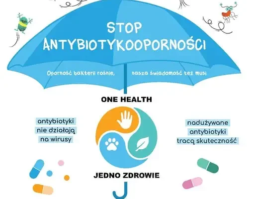 Antybiotykooporność: zagrożenie, które możemy zatrzymać