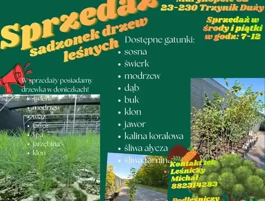 Nadleśnictwo Gościeradów zaprasza po sadzonki do Szkółki Leśnej Marynopole