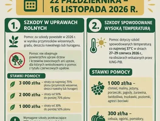Gmina Urzędów: nabór wniosków o pomoc dla rolników poszkodowanych przez przymrozki i upały